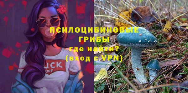 спайс Алексеевка